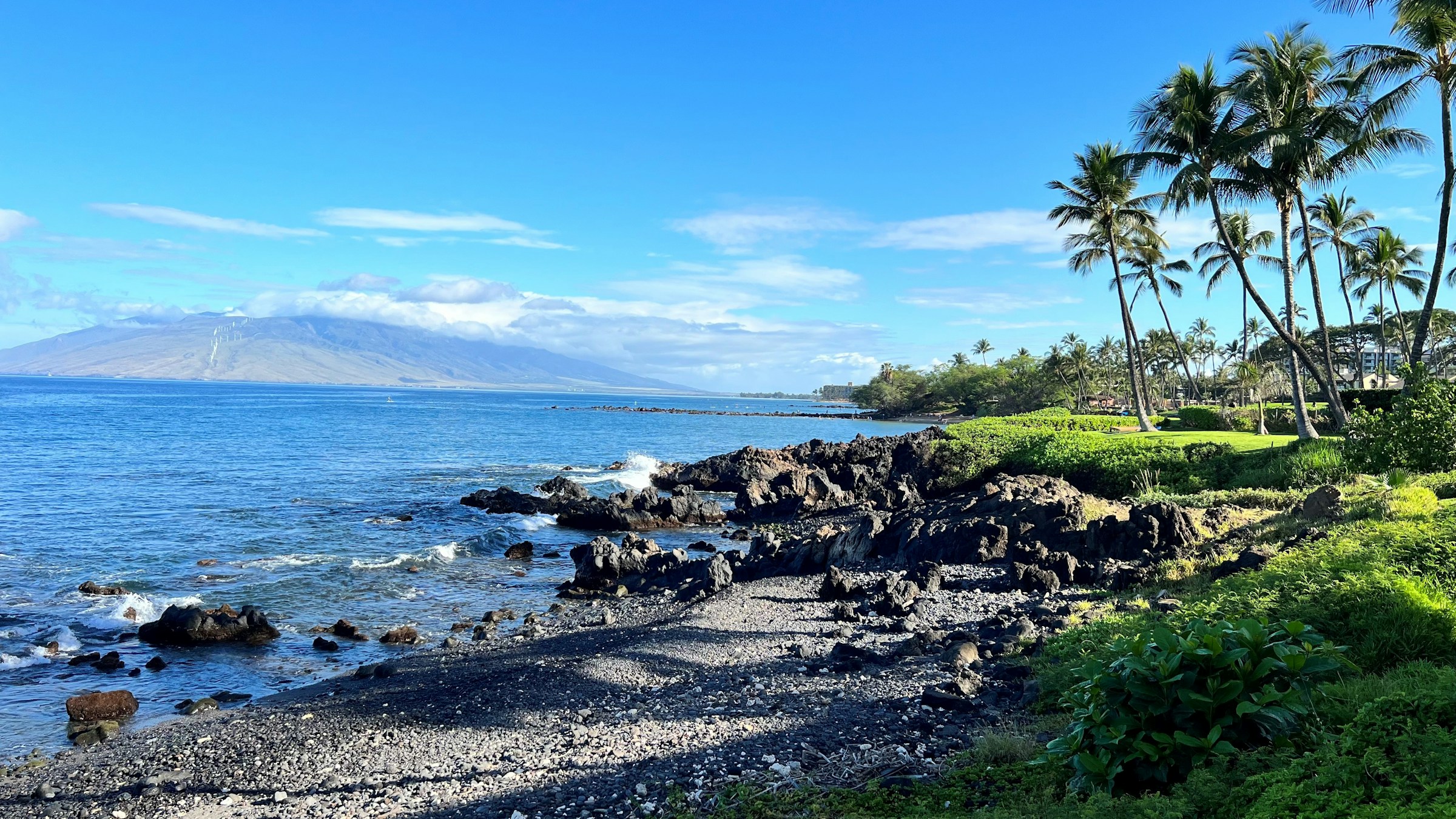 Sunlit palms and blue water along the Wailea coast on Maui